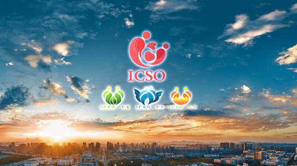 ICSO国际公益扶持组织――中国青年公益道路上的引路人